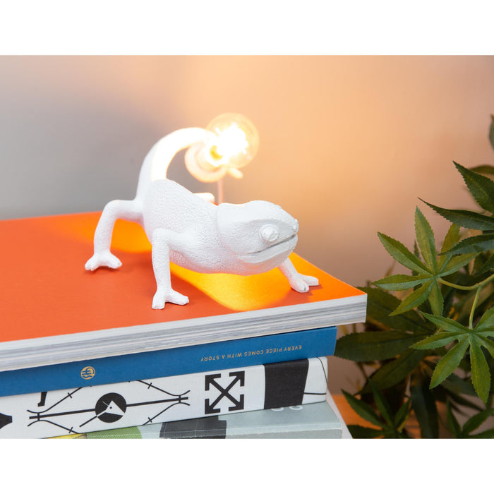 a775fcc6-ae20-49c2-8374-03d1b5a8596d-afbeelding7.jpg (4522694)