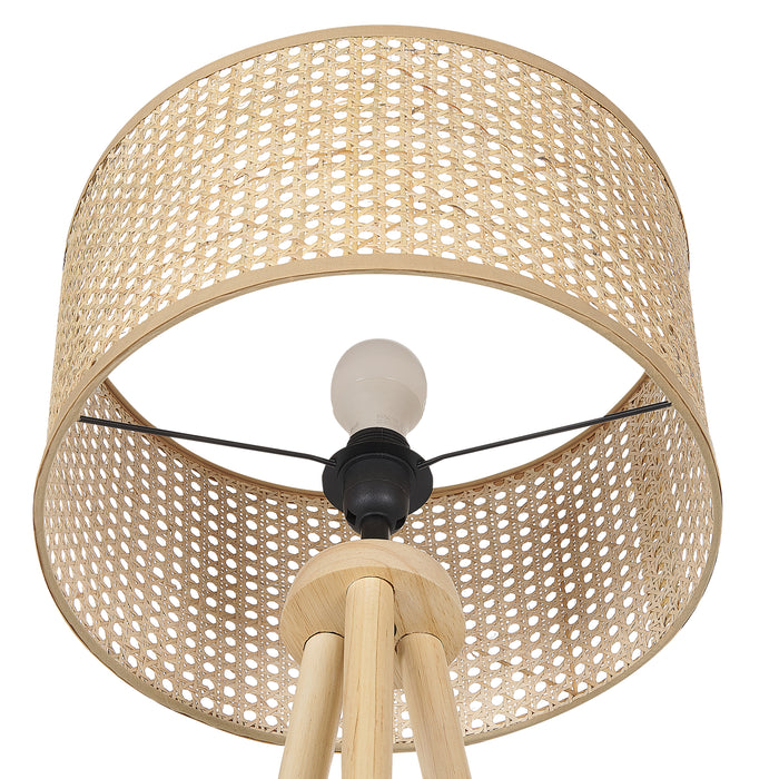 421b8260-61f0-4939-9dfa-4be69b54fb58-afbeelding7.jpg (4523011)