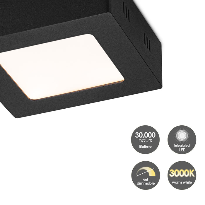 e71eb87d-809e-4e2e-b7b4-2be2558027fd-afbeelding11.jpg (4525231)