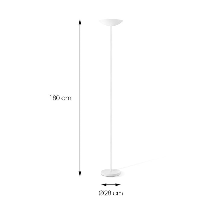 1d6010bc-3f83-4a1f-878f-b74973042a89-afbeelding12.jpg (4535481)