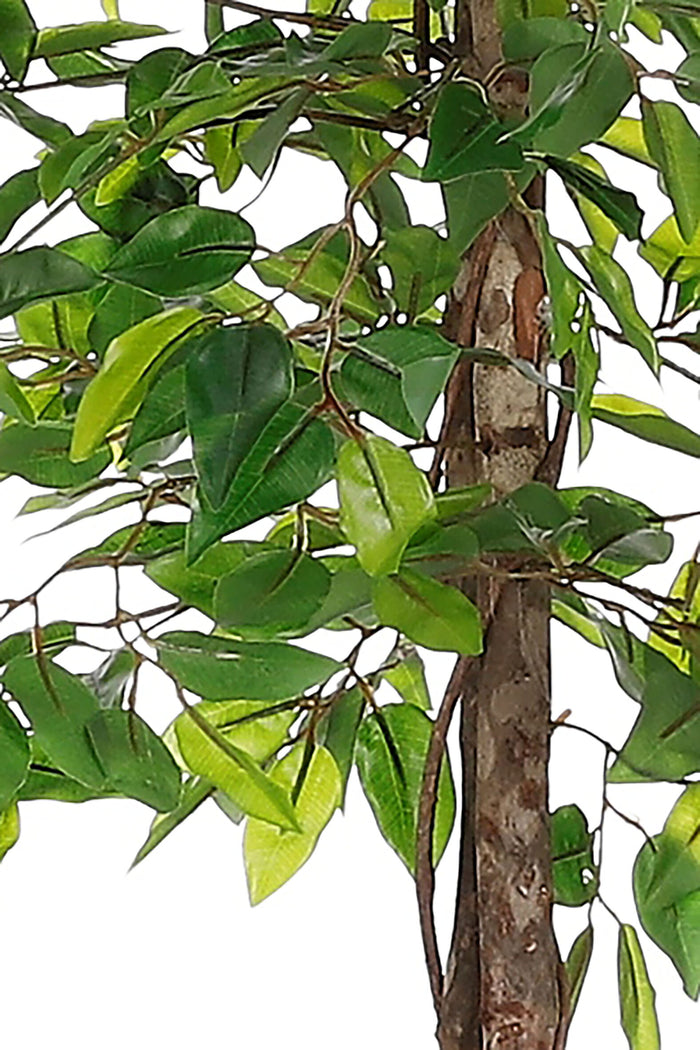 Mica Decorations Ficus Kunstplant - H150 x Ø50 cm - Groen