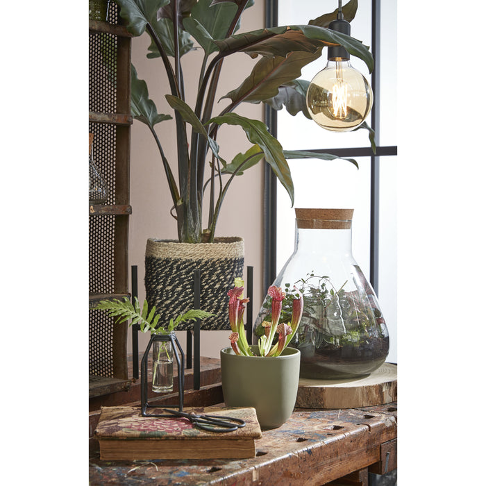 d5e91ef3-2732-40d0-b5ee-da8fccf5598f-afbeelding5.jpg (4582605)