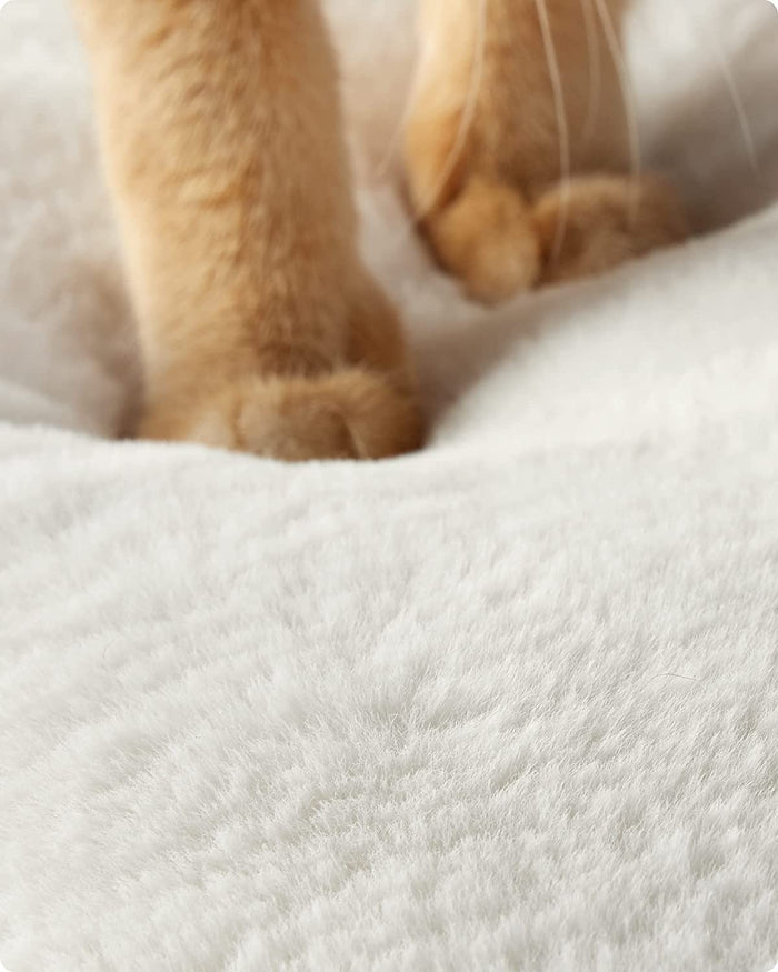 5499ec1f-ac80-4cbf-a46b-f9b35610246a-afbeelding6.jpg (4590293)