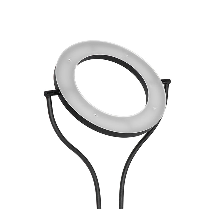 f42f5b2a-7497-4d32-8594-3a83e4df3026-afbeelding10.jpg (4594626)