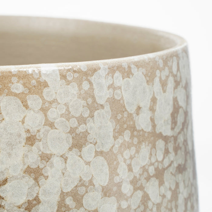 216a8556-4646-46ef-a4a6-8b9873ac730c-afbeelding3.jpg (4598888)