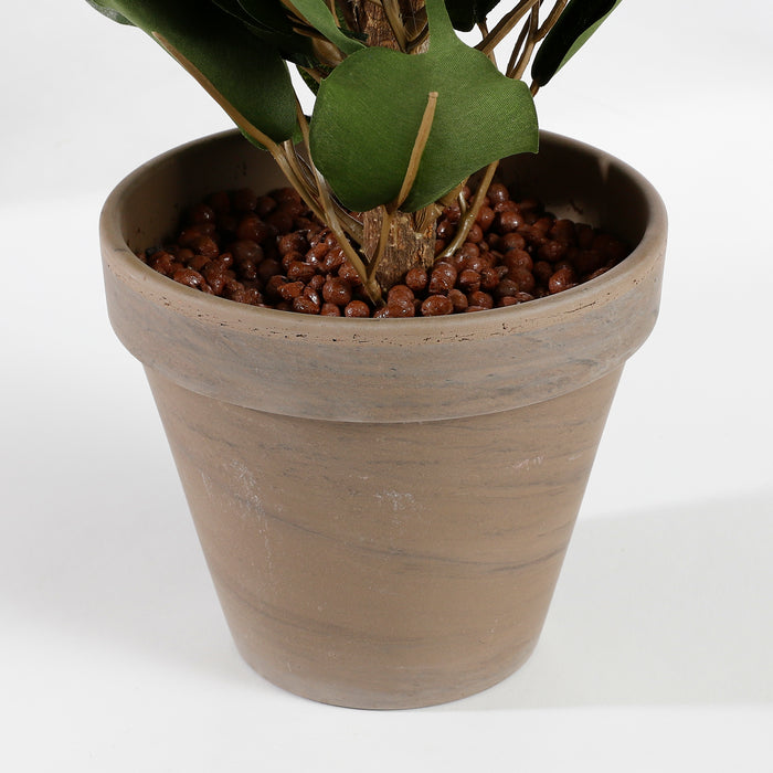 Mica Decorations Ficus Exotica Kunstplant in Bloempot 60 cm