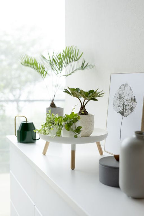 Yamazaki Dienblad met poten - Wit