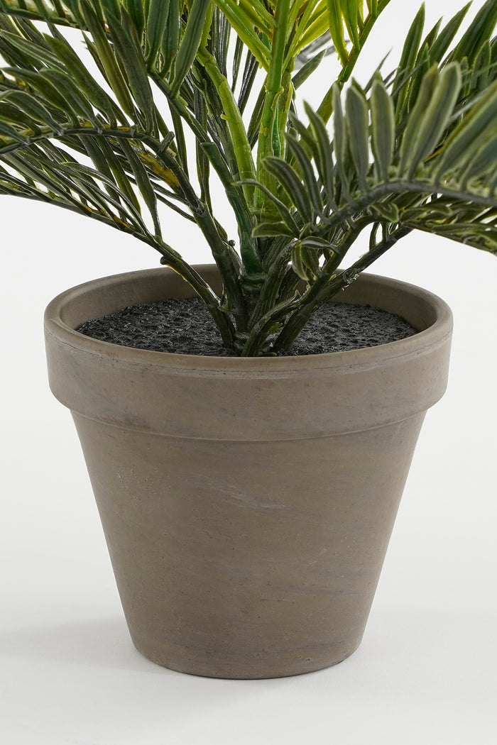 Mica Decorations Cycas Palm Kunstplant - H33 x Ø34 cm - Groen