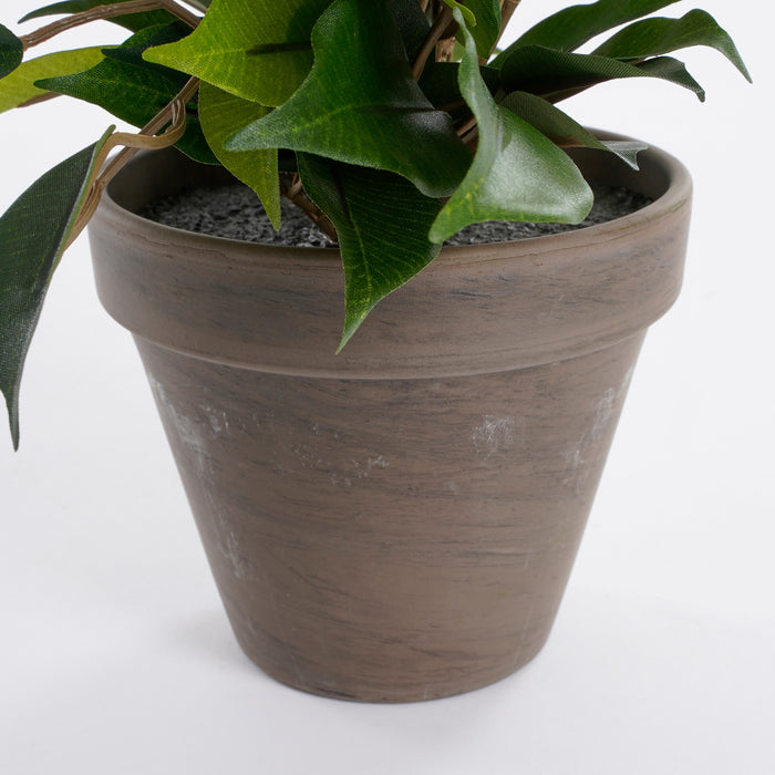 Mica Decorations Ficus Natasja Kunstplant in Bloempot H40 cm