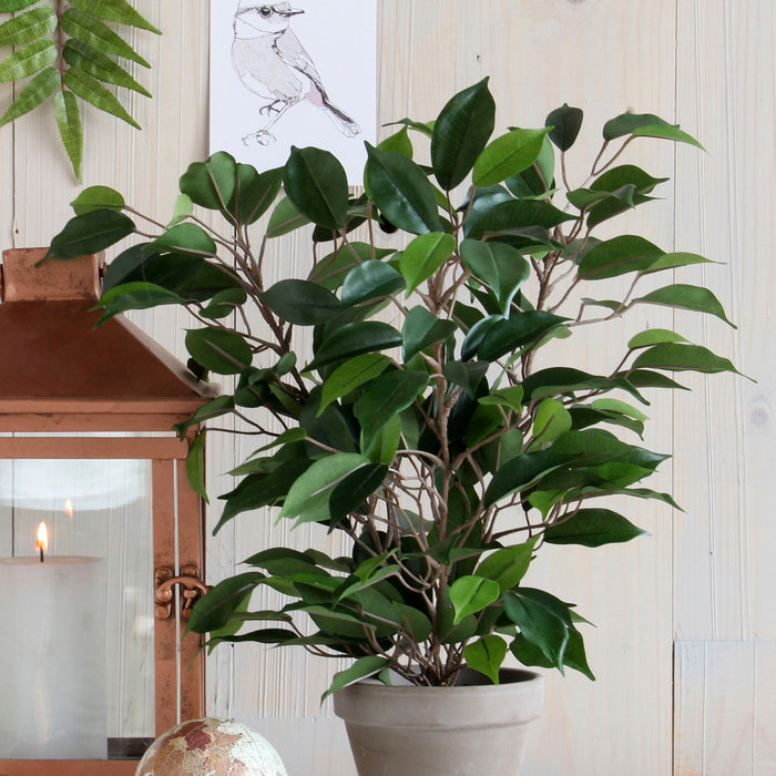 Mica Decorations Ficus Natasja Kunstplant in Bloempot H40 cm