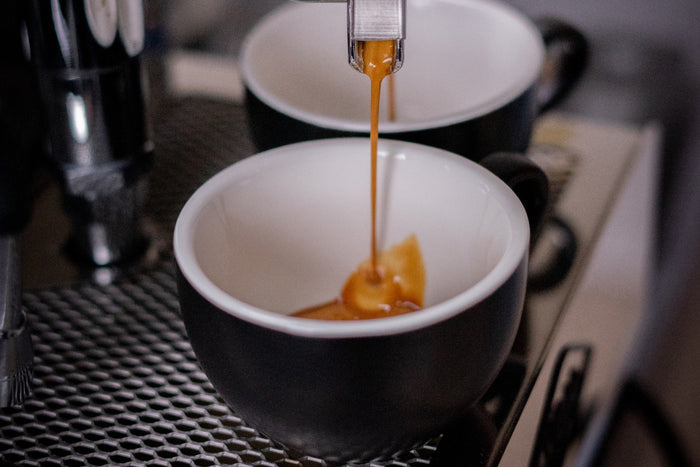 Barista Innovations Nero - Koffiekopje Regular - Set van 6 -150ml