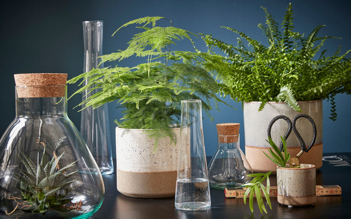 4deadfcd-8cdc-49bb-80e8-ee8a2d63a168-afbeelding8.jpg (4662765)