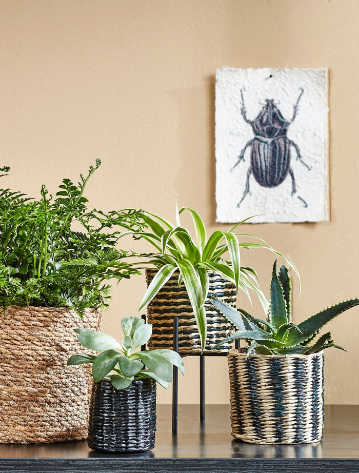 7195975c-6461-496a-a3a8-750de78bc769-afbeelding8.jpg (4677552)