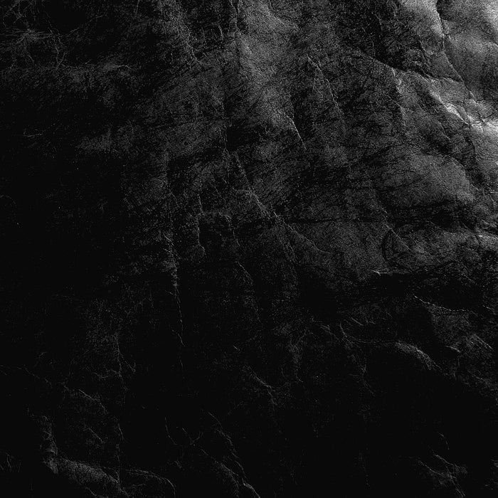 486472f0-c29c-430c-a657-6b6891b1ae6d-afbeelding10.jpg (4682658)