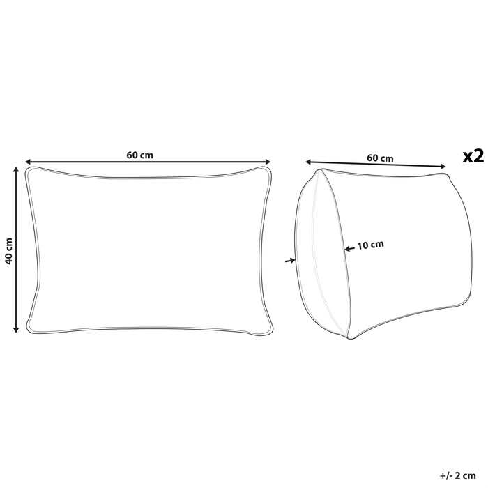 Beliani-CERINTHE -Sierkussen set van 2-Beige-40 x 60 cm-Katoen