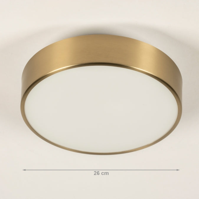 02deebaa-638e-43e4-9a8b-76b03680f720-afbeelding3.jpg (4708593)