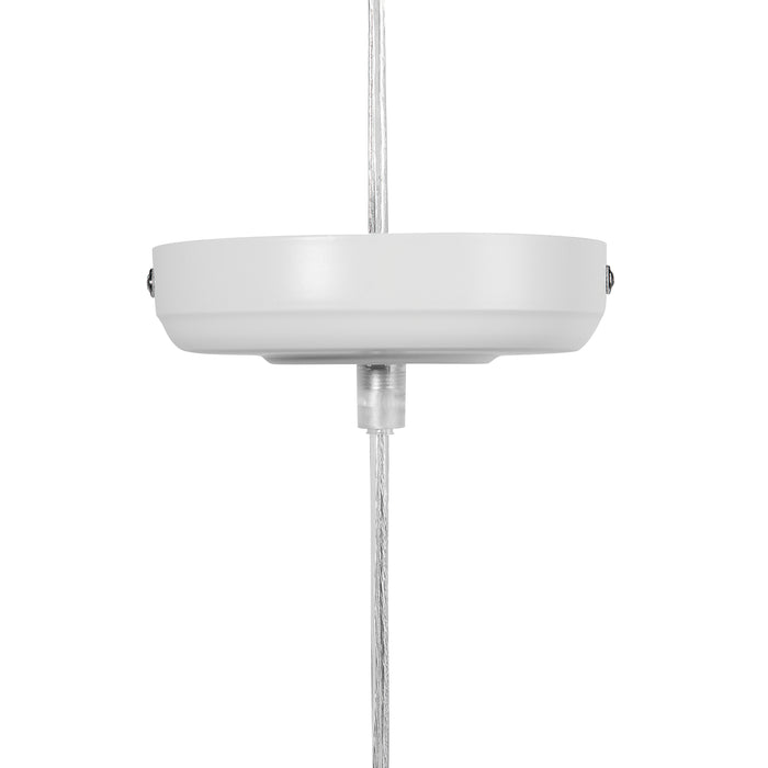 0c121043-1f96-4998-99d1-1e928b4ebc6d-afbeelding8.jpg (4713019)