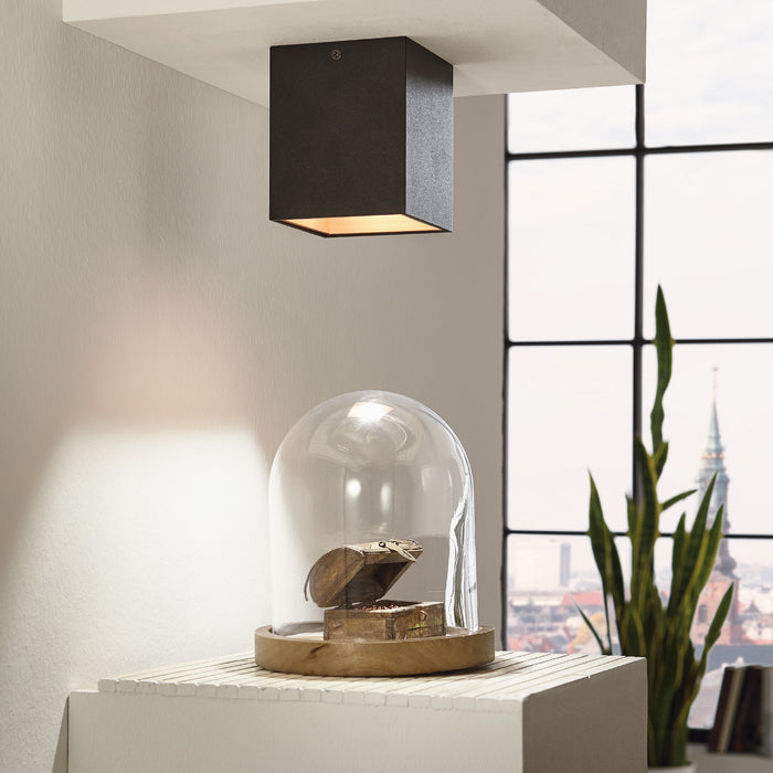 59a2f0dd-f7ed-43af-bc3e-53a0321e8ee2-sfeerbeeld.jpg (4731368)