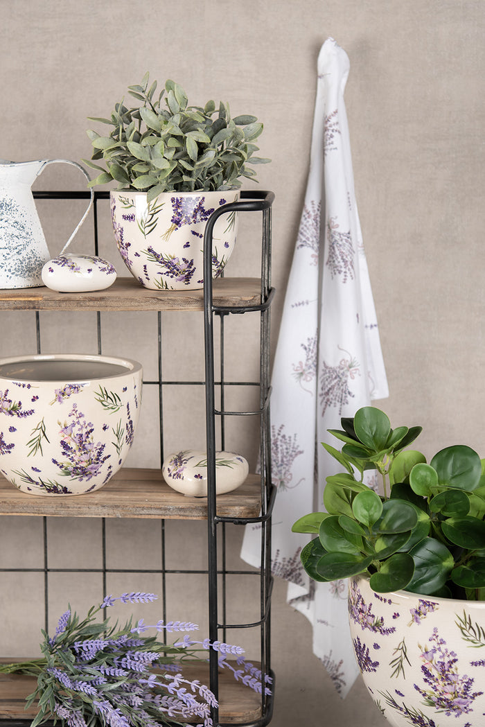 9bc85583-1166-4cfc-beca-c31f763fbc6d-afbeelding11.jpg (4731853)