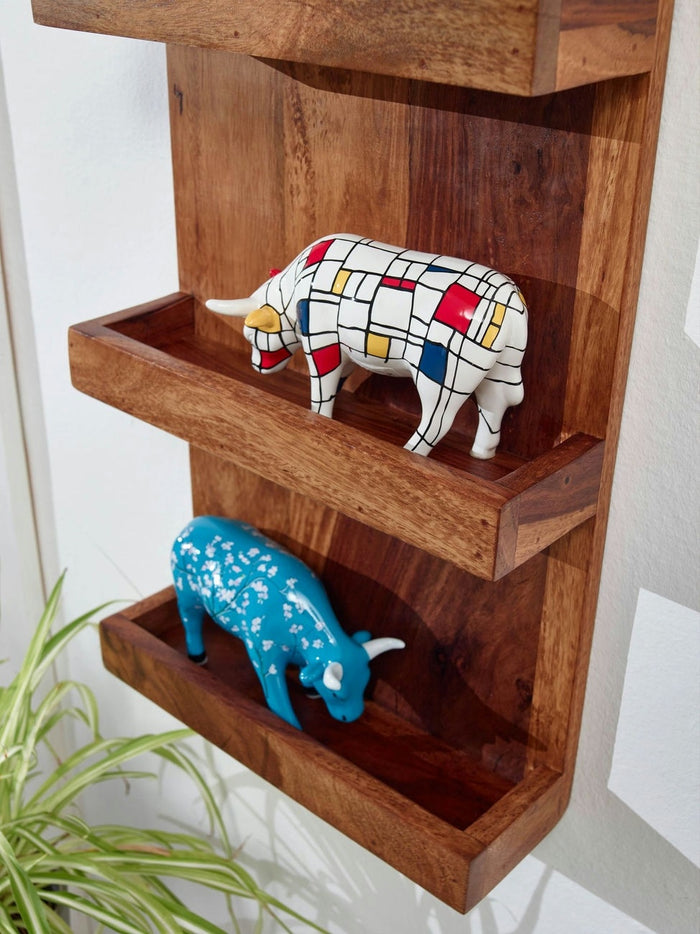 6dcdc7f2-e2fb-453b-9f79-66e47987eb98-afbeelding3.jpg (4732584)