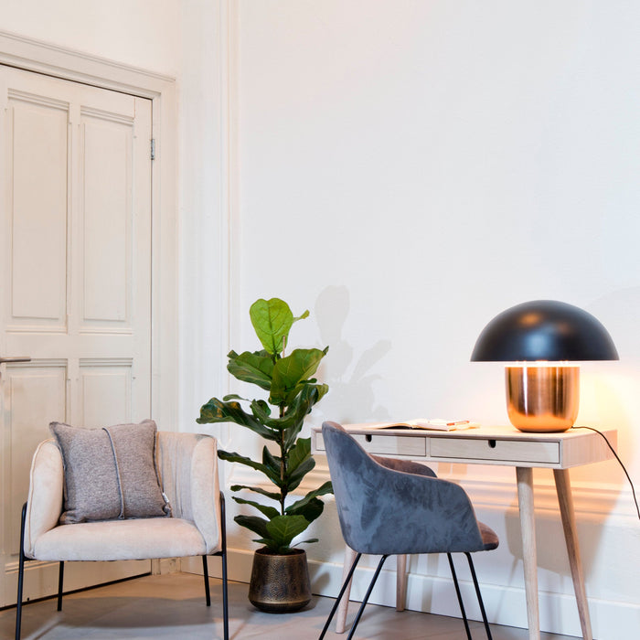 601892ad-7860-48d0-93a8-92a7ed6dc56b-afbeelding4.jpg (4739072)