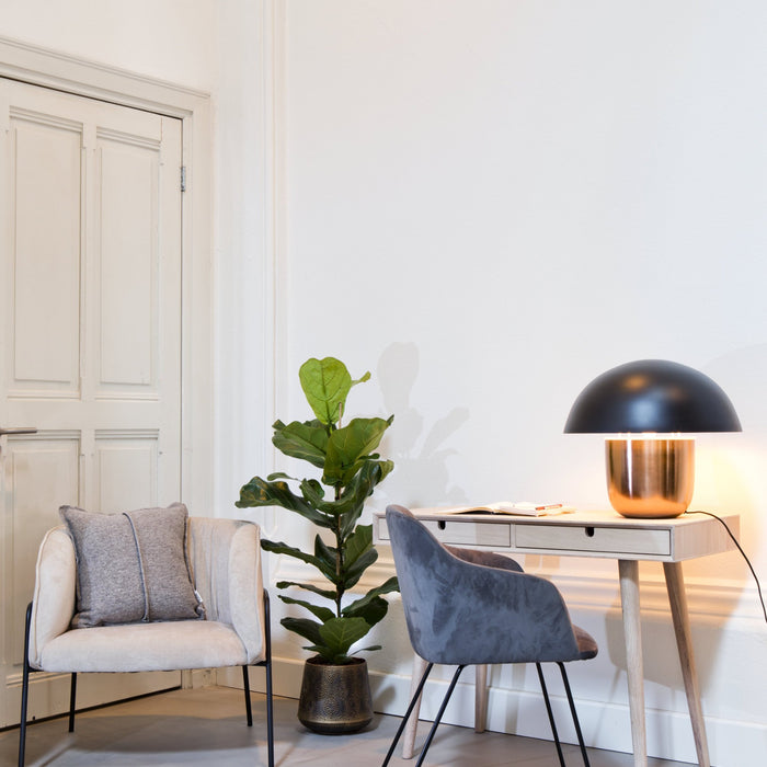 601892ad-7860-48d0-93a8-92a7ed6dc56b-afbeelding6.jpg (4739074)