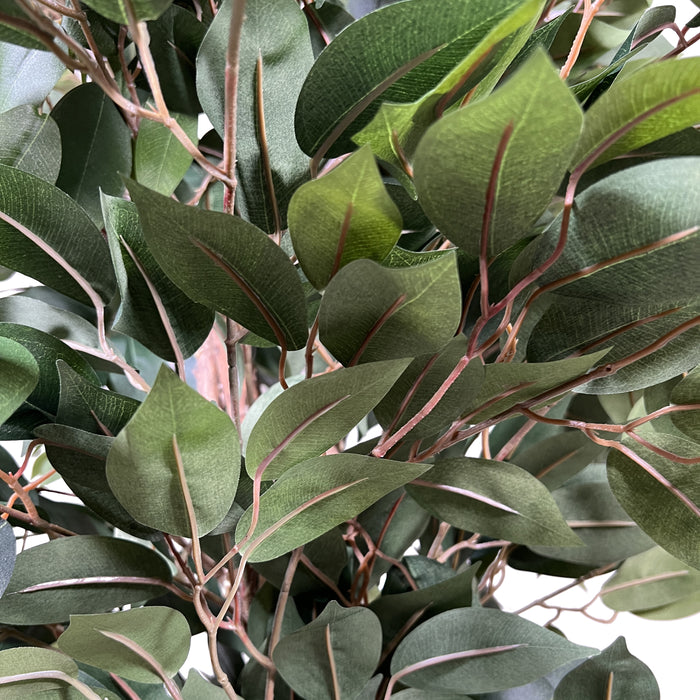 74b35401-75cb-436b-9dd8-34de2af92f2e-afbeelding10.jpg (4753890)