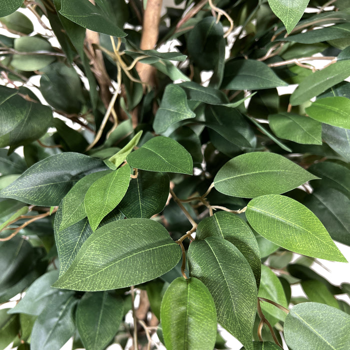 74b35401-75cb-436b-9dd8-34de2af92f2e-afbeelding11.jpg (4753891)