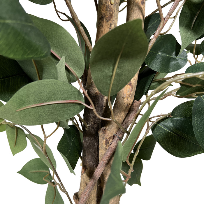 74b35401-75cb-436b-9dd8-34de2af92f2e-afbeelding9.jpg (4753899)