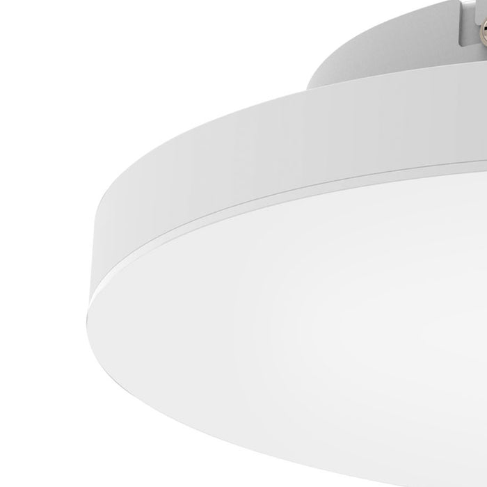 28ab228d-08b6-4840-a2ba-a28d2d18175c-afbeelding3.jpg (4778907)