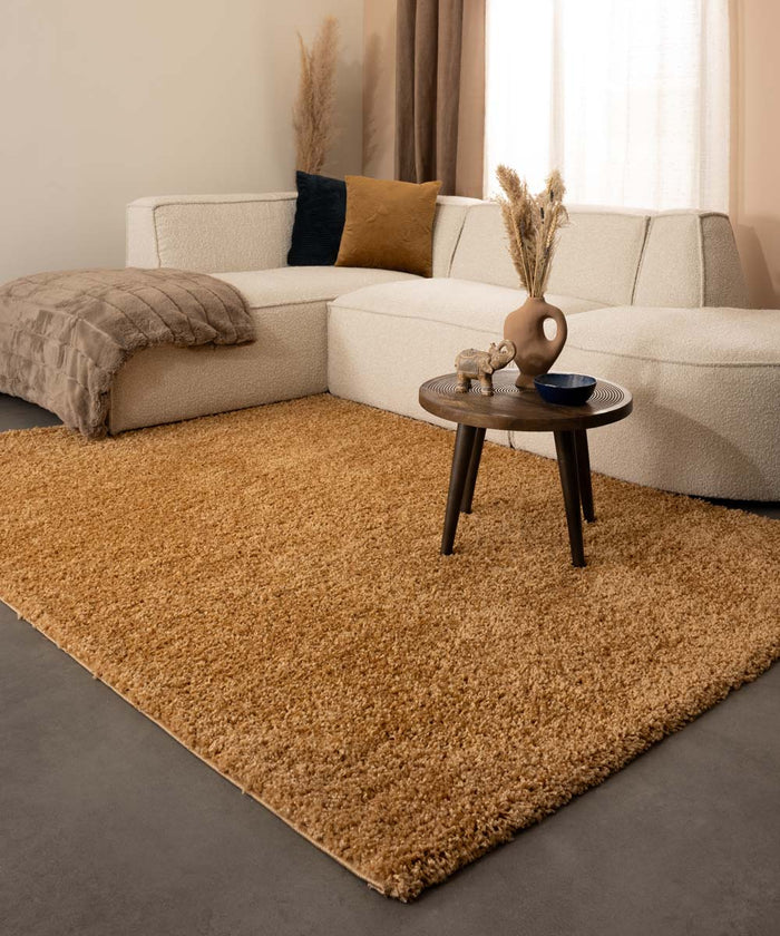 Tapeso Hoogpolig vloerkleed shaggy Trend effen - goud - 300x400 cm