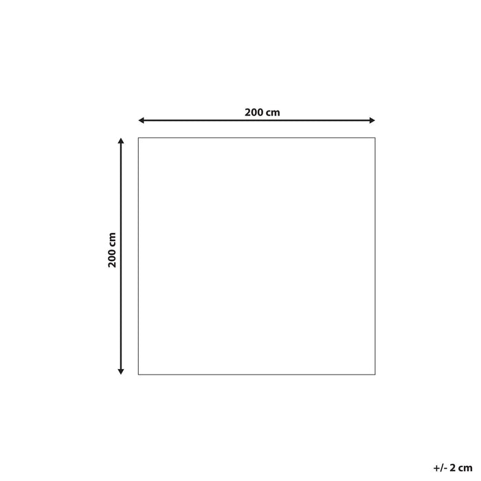 Beliani-EVREN -Shaggy vloerkleed-Mintgroen-200 x 200 cm-Polyester