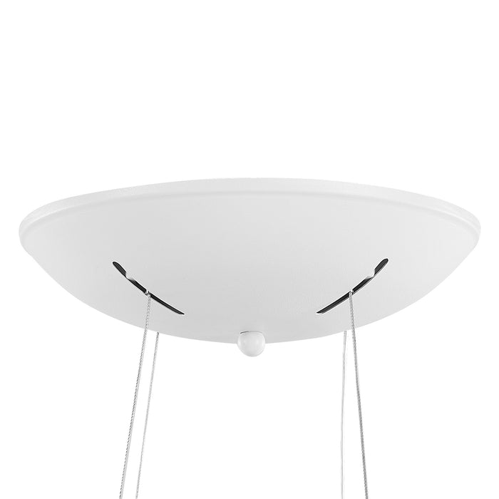 a5a20db8-c129-4638-8af3-db3385d2aec6-afbeelding8.jpg (4799635)