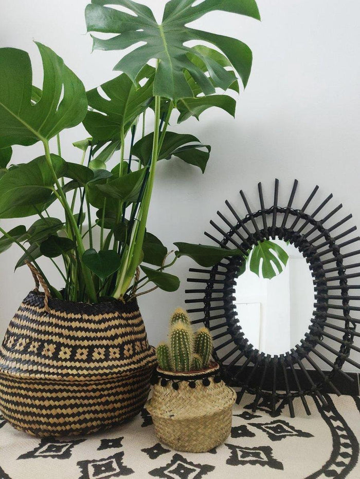 7d59f363-e3d3-403a-accf-212f90a12bda-sfeerbeeld.jpg (4800527)