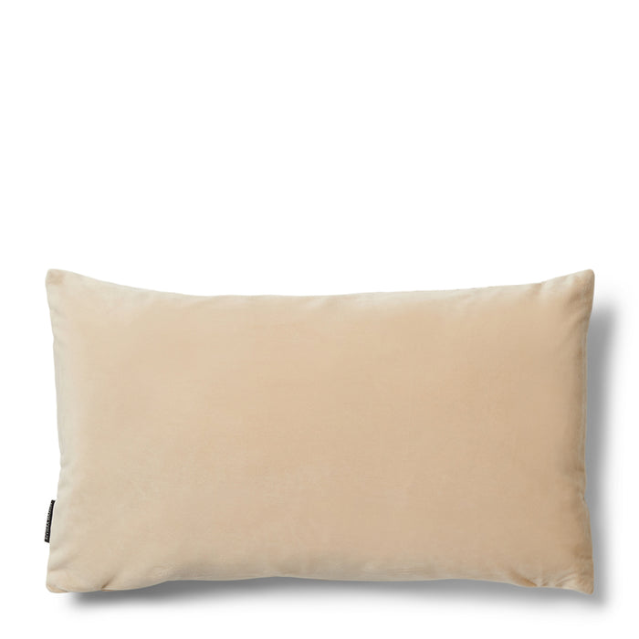 4b615edc-ff65-4843-8af1-5465fe97b07f-afbeelding11.jpg (4824893)