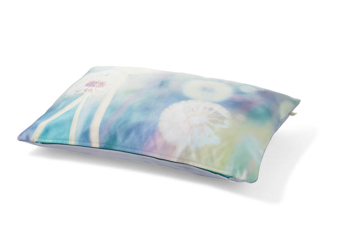 58a69bc8-c097-42c4-a9f8-dc54ac57ca21-afbeelding4.jpg (4825858)