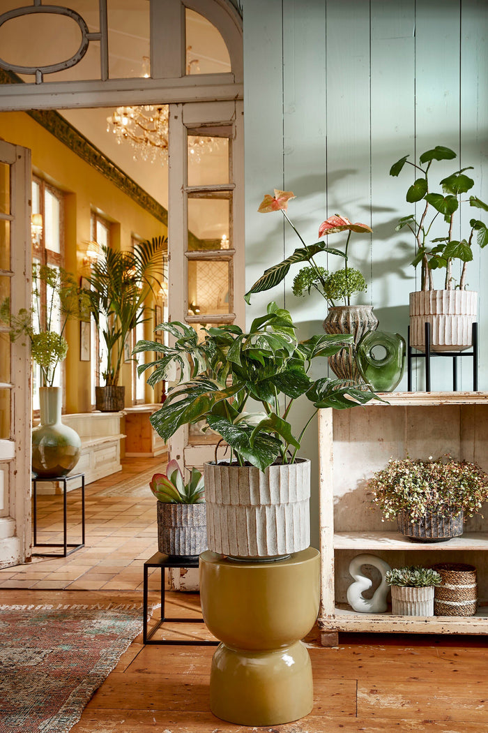 d2d78b8b-fe3f-441e-b1e3-86471f37e2cc-afbeelding9.jpg (4839072)