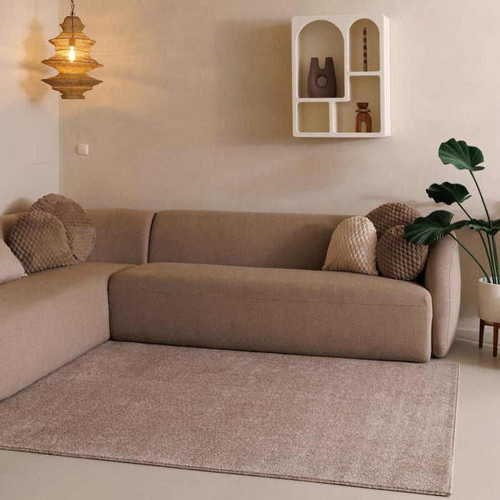 Tapeso Laagpolig vloerkleed Fine - beige - 240x340 cm