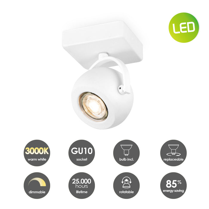 39b7e1bb-7efc-4db9-a9b3-1bca6238bcc9-afbeelding11.jpg (4860812)