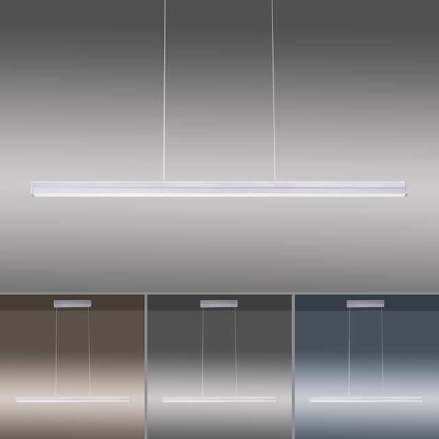 Paul Neuhaus Paul Neuhaus Niro Hanglamp RVS 27 Watt incl. Dimmer