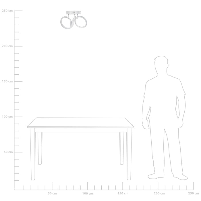 fd3f6b48-23e0-42c5-948c-3bb5c189660e-afbeelding9.jpg (4865410)