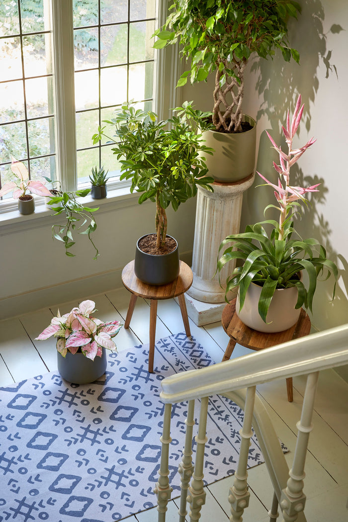 6c563b23-cda6-48ae-b081-b59e071fcfd8-afbeelding5.jpg (4870480)