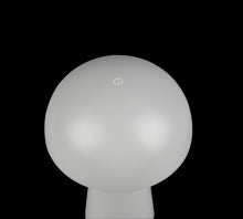 250c55a4-87cf-4190-a895-314d0c699cc5-afbeelding4.jpg (4877153)