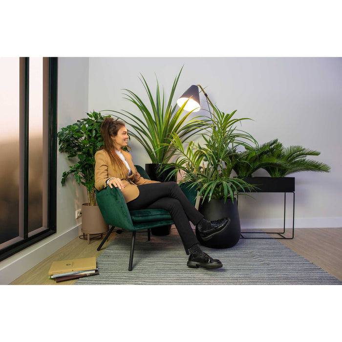 b8eca806-7d22-40ca-9d77-1dc22d7b4512-afbeelding6.jpg (4884110)