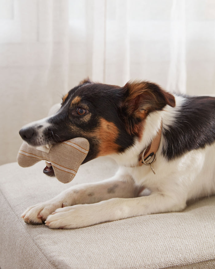 Kave Home - Bowie groot huisdierenbed in beige 73 x 98 cm