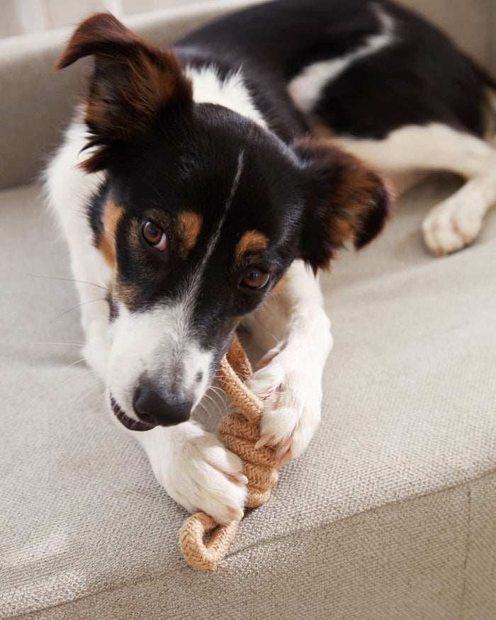 Kave Home - Bowie groot huisdierenbed in beige 73 x 98 cm