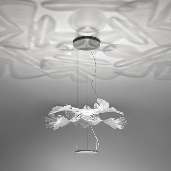 7bc3d467-43ea-40fc-88f2-e28692cb661e-afbeelding3.jpg (4906090)