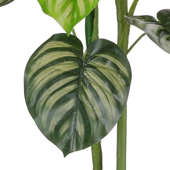 c6d6c77d-2411-41b4-b4e0-705a3d70805c-afbeelding3.jpg (4909667)