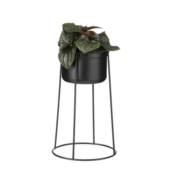 Mica Decorations Ramona Pot op Standaard Zwart