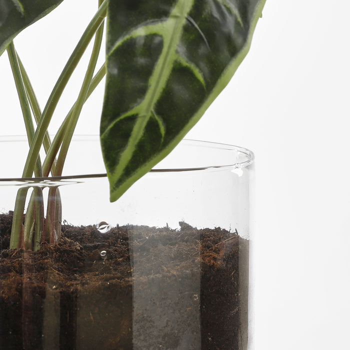 b10b72d4-21a0-4e55-aaa5-bba9b7a5849e-afbeelding3.jpg (4980031)